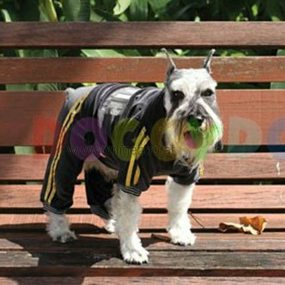 DoggyDolly DRF010 - Sportanzug für Hunde VIP