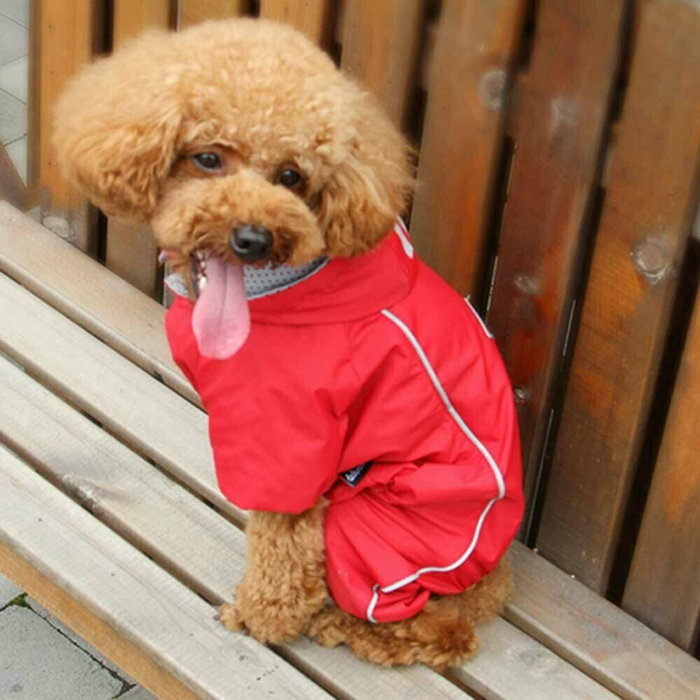 Hundebekleidung bei Regenwetter - Roter Regenmantel für Hunde