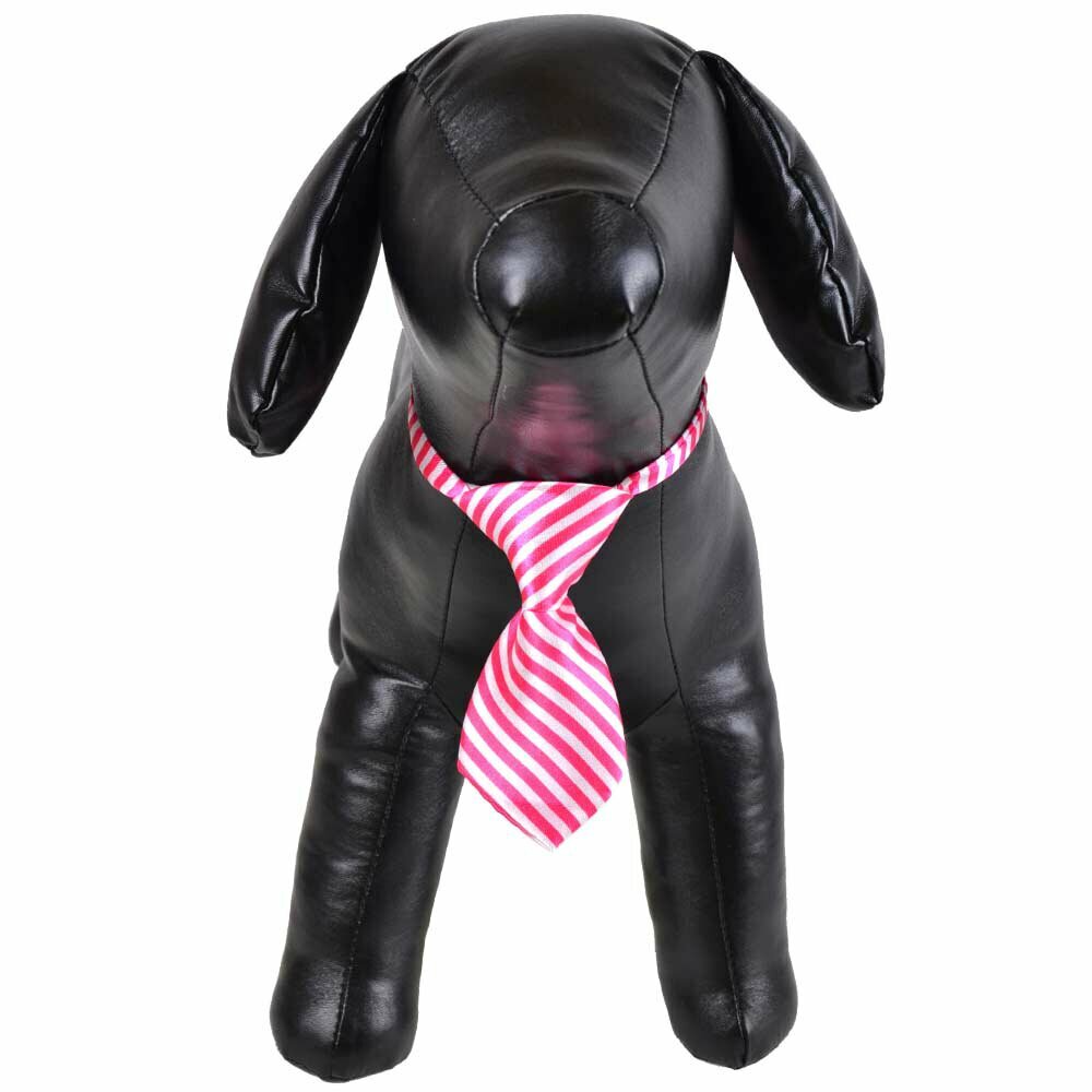 Krawatte für Hunde rosa, weiß gestreift