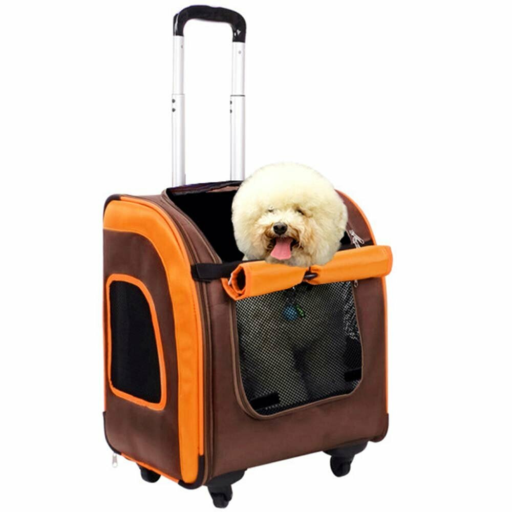 Bequemer Hundetrolley und Hunderucksack für Reisen