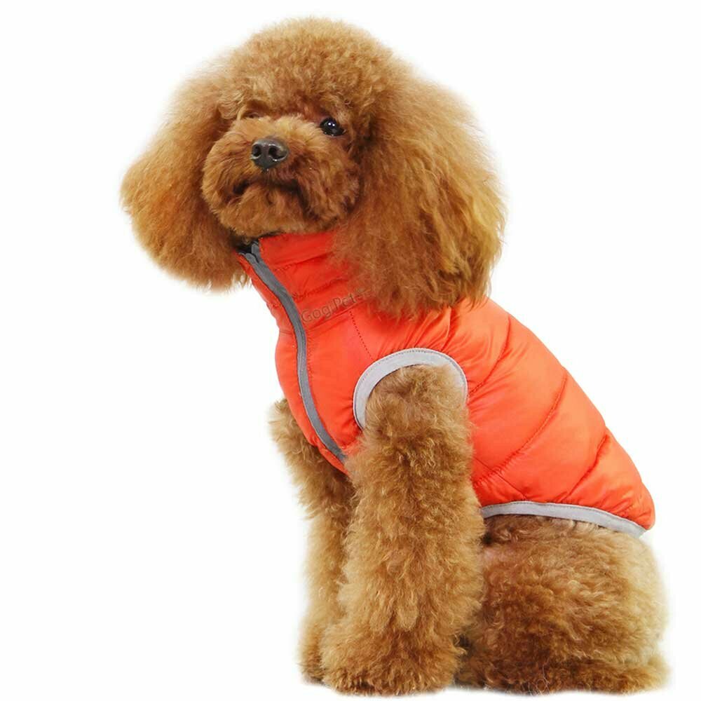 Hundedaunenjacke orange oder grün als Wendejacke für Hunde