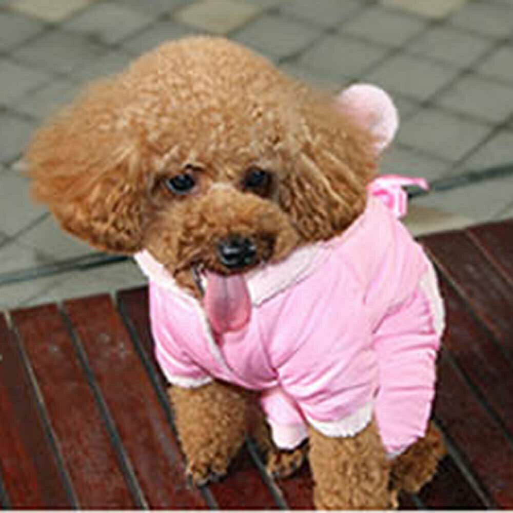 Rosa Hundebekleidung für den Winter