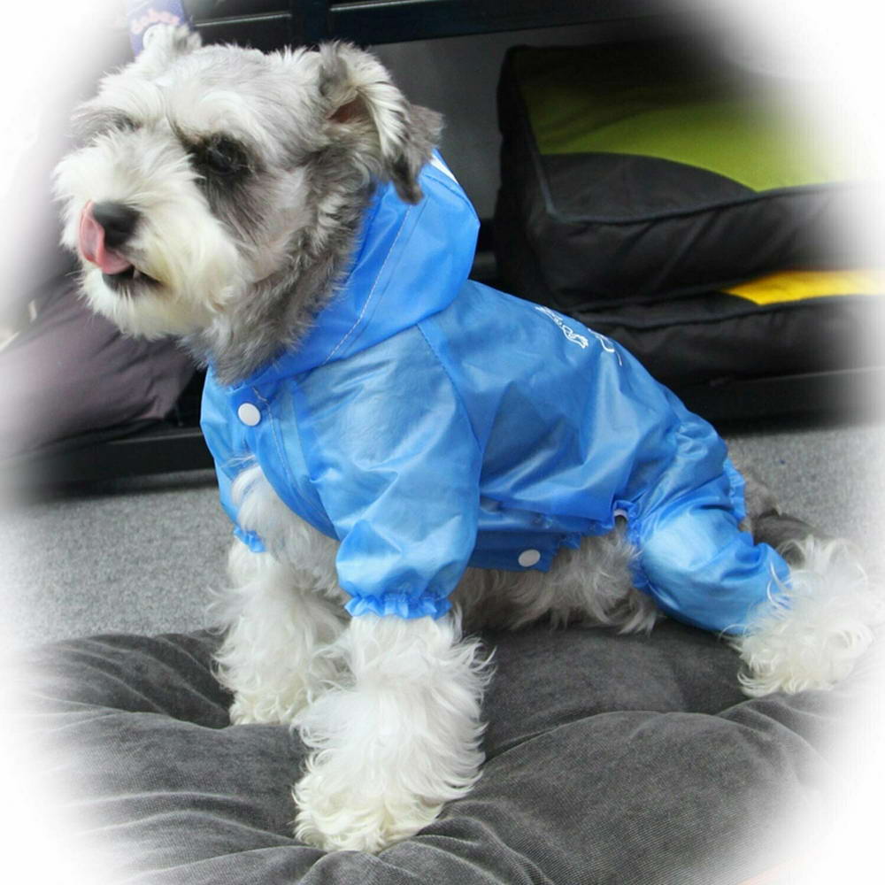 Regenmantel für Hunde Walking in the Rain Blau