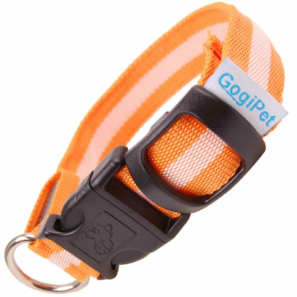 Leuchtendes GogiPet ® Hundehalsband orange mit Blinkfunktion Größe L