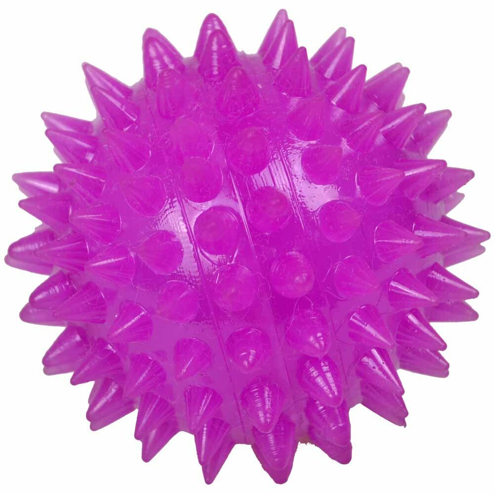 Klangball mit Licht lila - Hundespielzeug