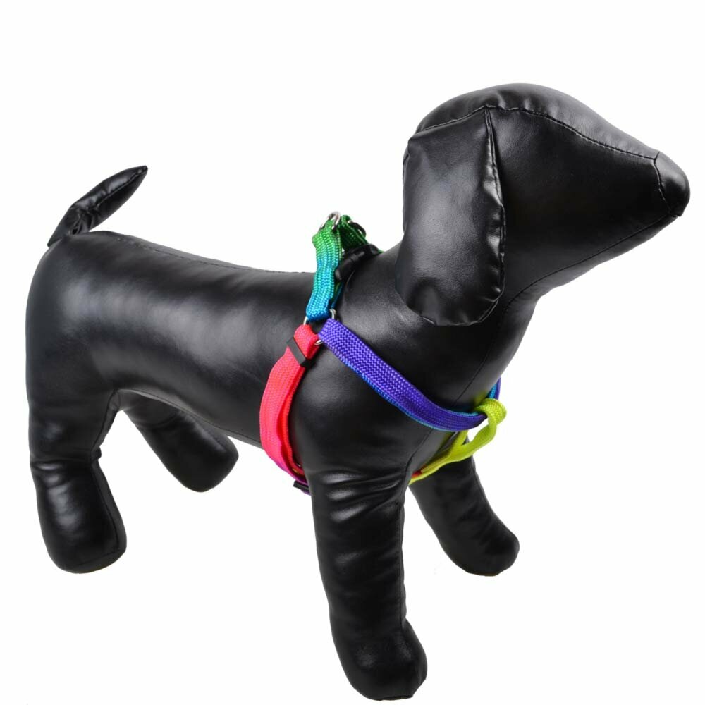 Hundebrustgeschirr in Regenbogenfarben