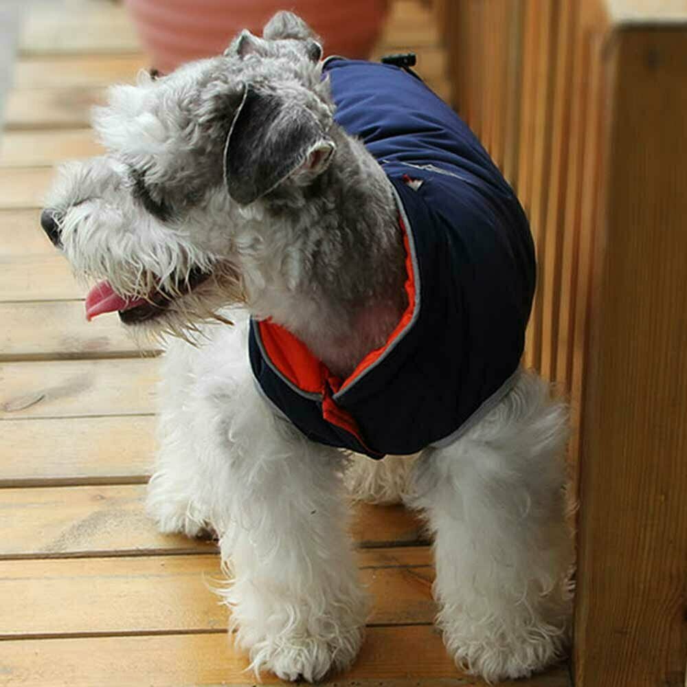 Warme Hundebekleidung - Gewand für größere Hunde
