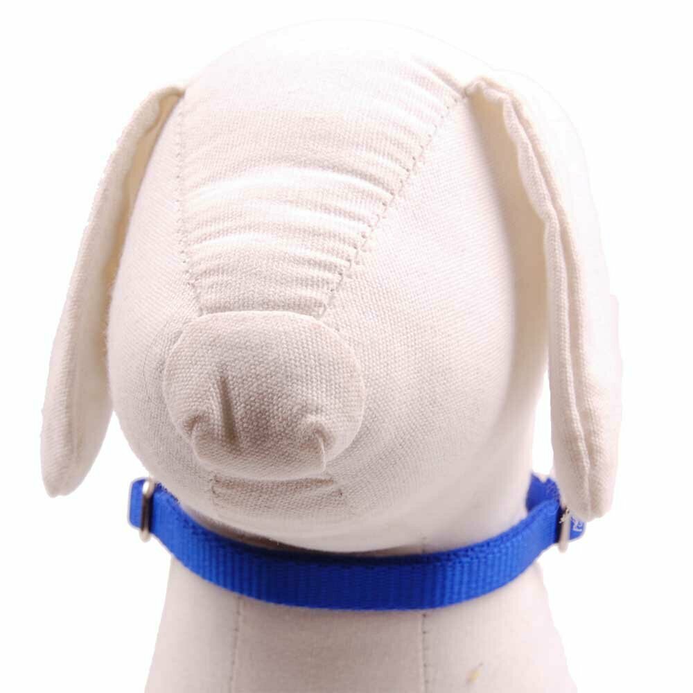 blaues Hundehalsband aus Nylon mit 2 cm Breite