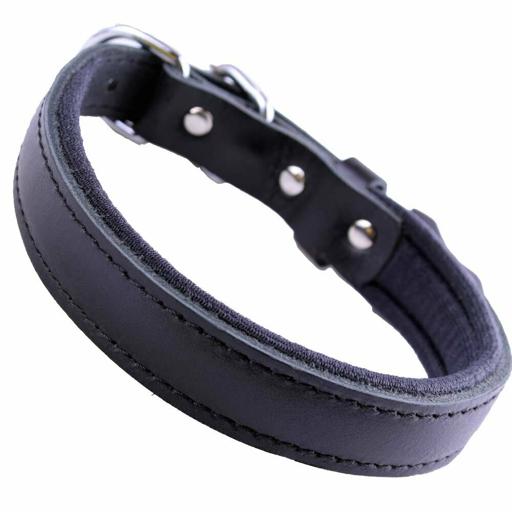 GogiPet® Komfort- Lederhundehalsband schwarz mit 40 cm
