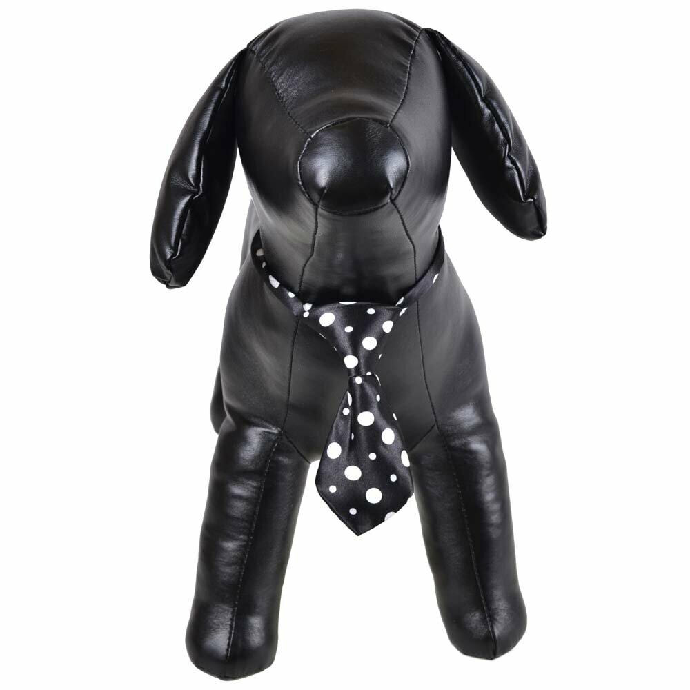 Krawatte für Hunde schwarz gepunktet
