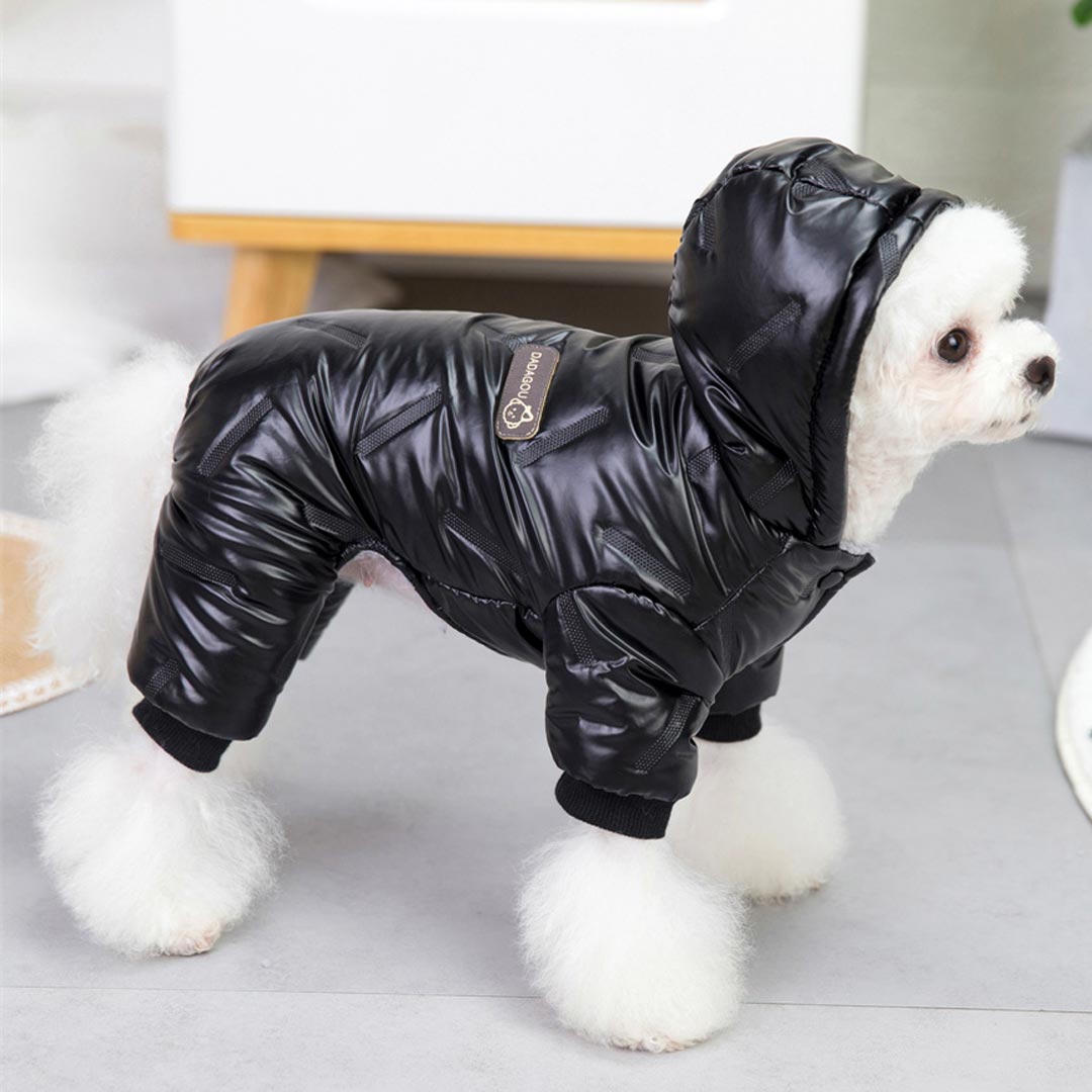 Warmer Hundeschneeanzug - Hoodie "Moonwalk" schwarzer Hundemantel