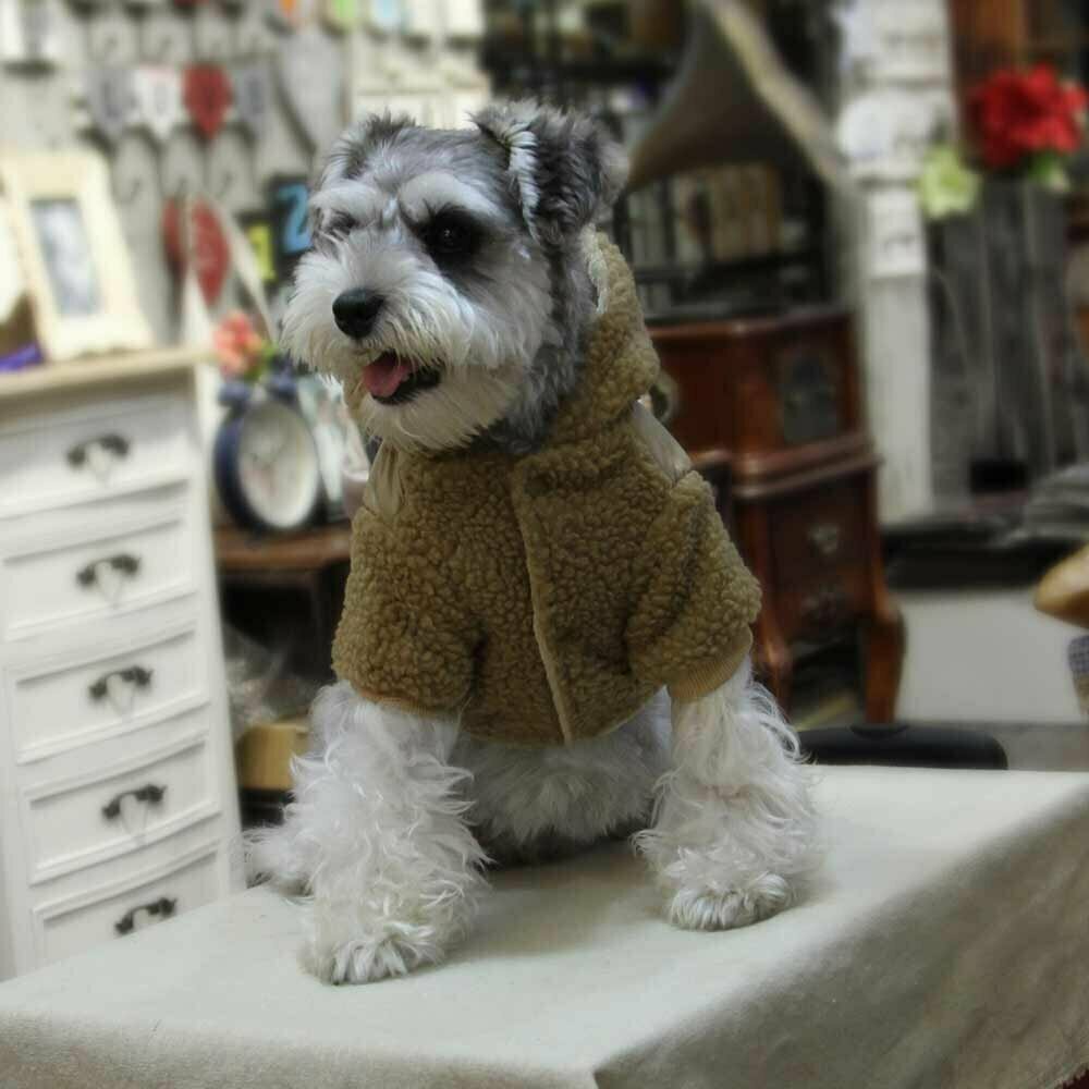 Gute Hundebekleidung für den Winter - extra warm