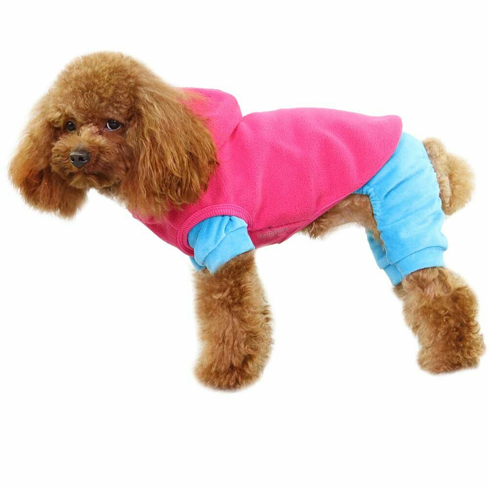 Dieser rosa Hundepullover kann super mit allen möglichen Hundeklamotten kombiniert werden