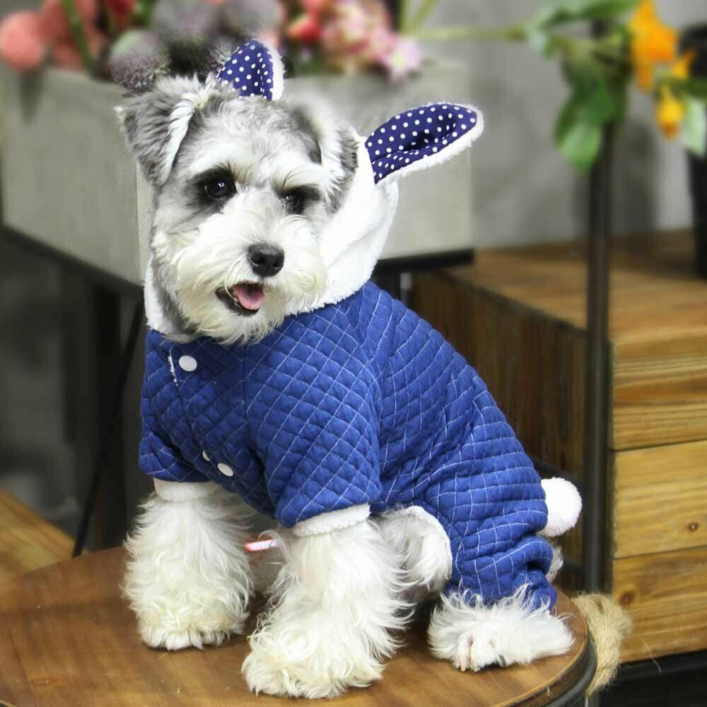 Bunny Hundebekleidung für den Winter Blau