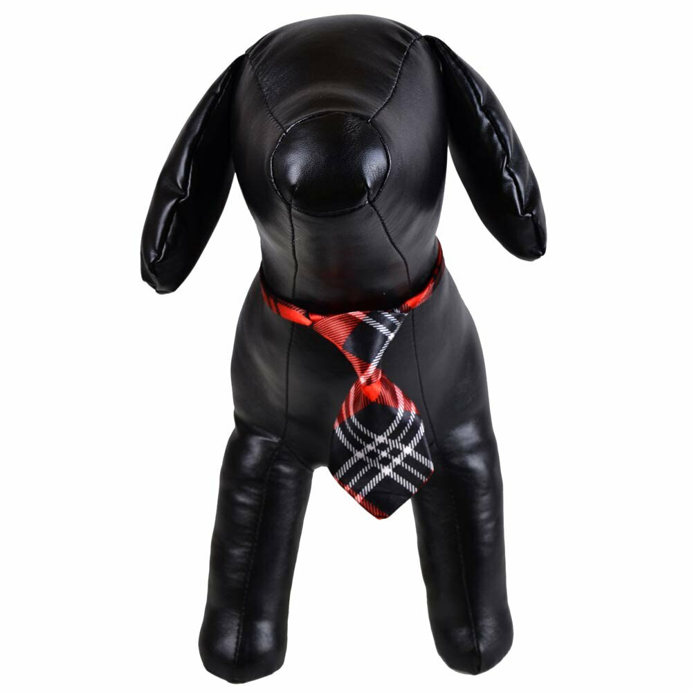 Krawatte für Hunde schwarz, rot kariert