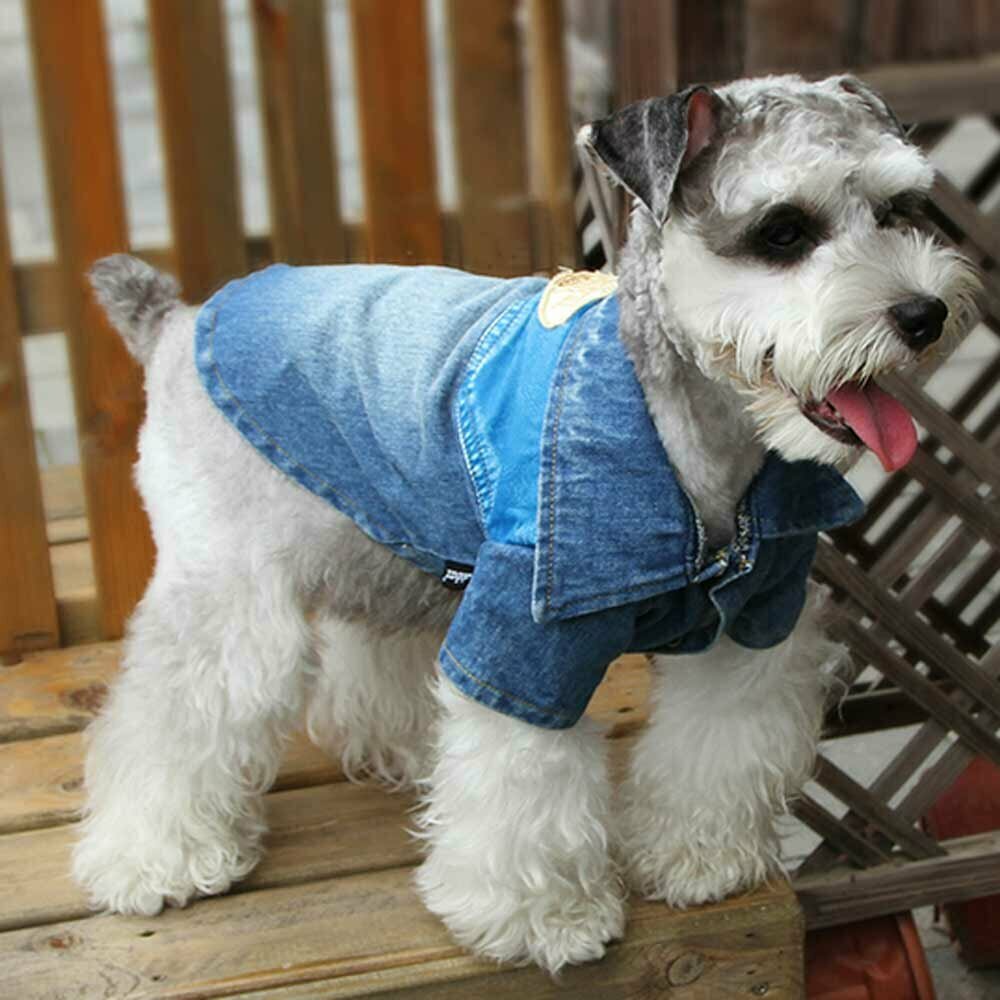 Blue Jeans Jacke für Hunde
