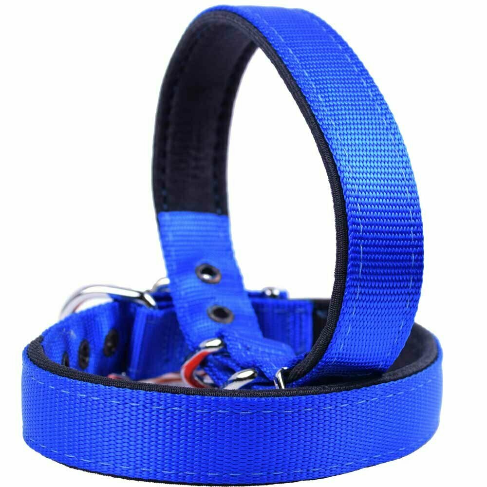 Gepolstertes GogiPet® Komfort Textil Hundehalsband blau