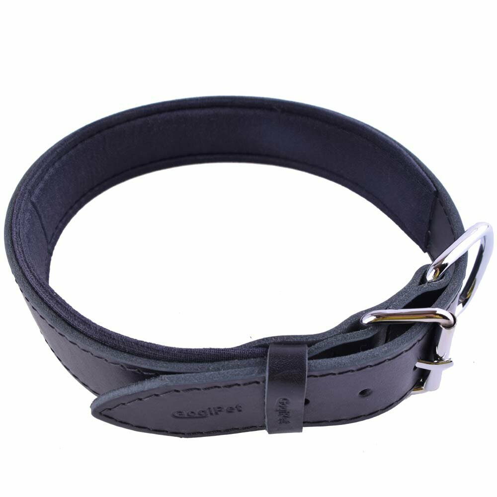 GogiPet® Komfort- Lederhundehalsband schwarz