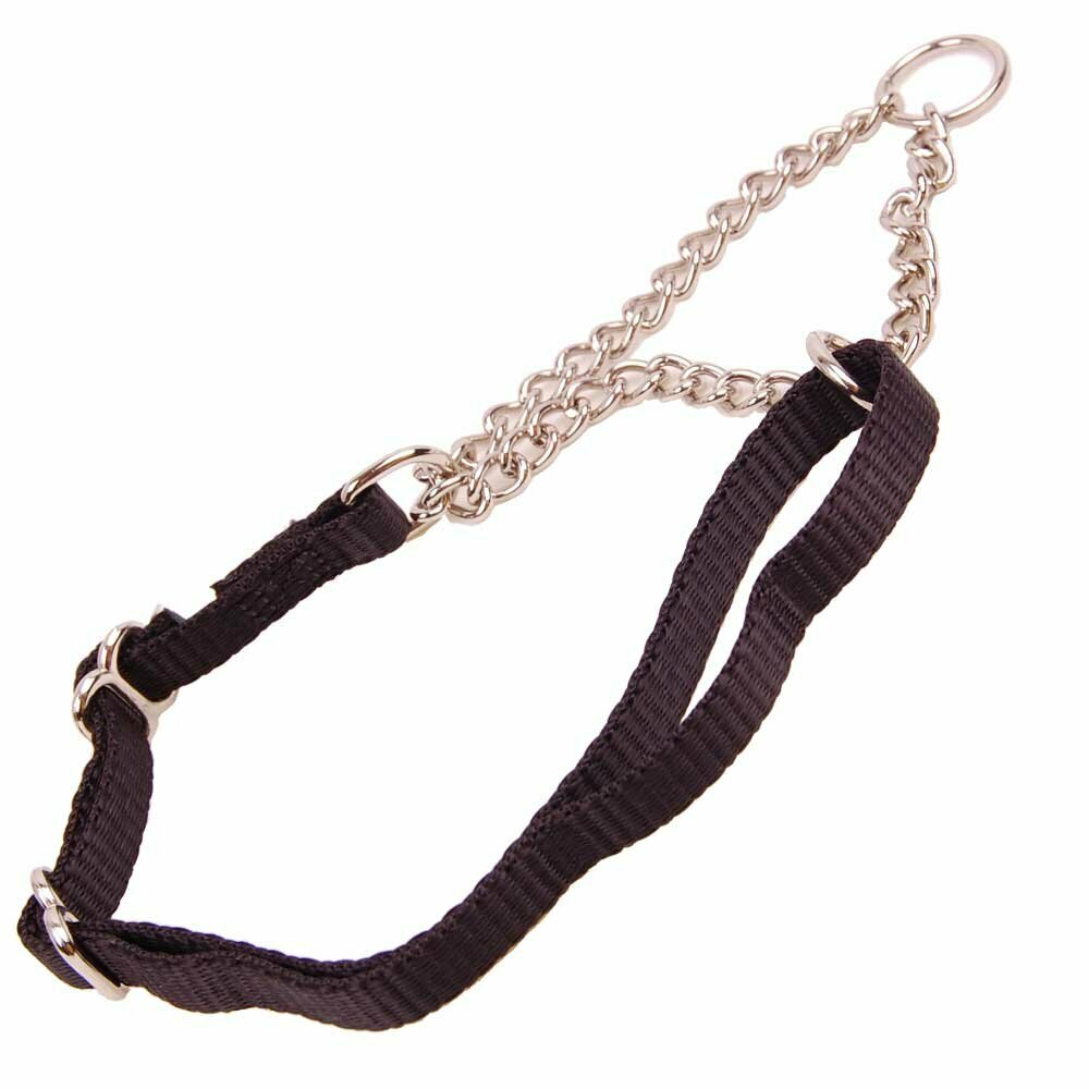 robustes schwarzes Zughalsband für Hunde mit 1 cm Breite