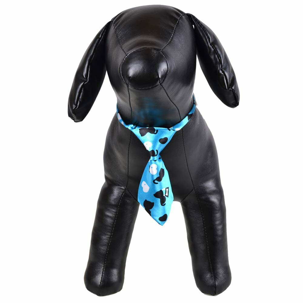 Krawatte für Hunde blau mit Katzen