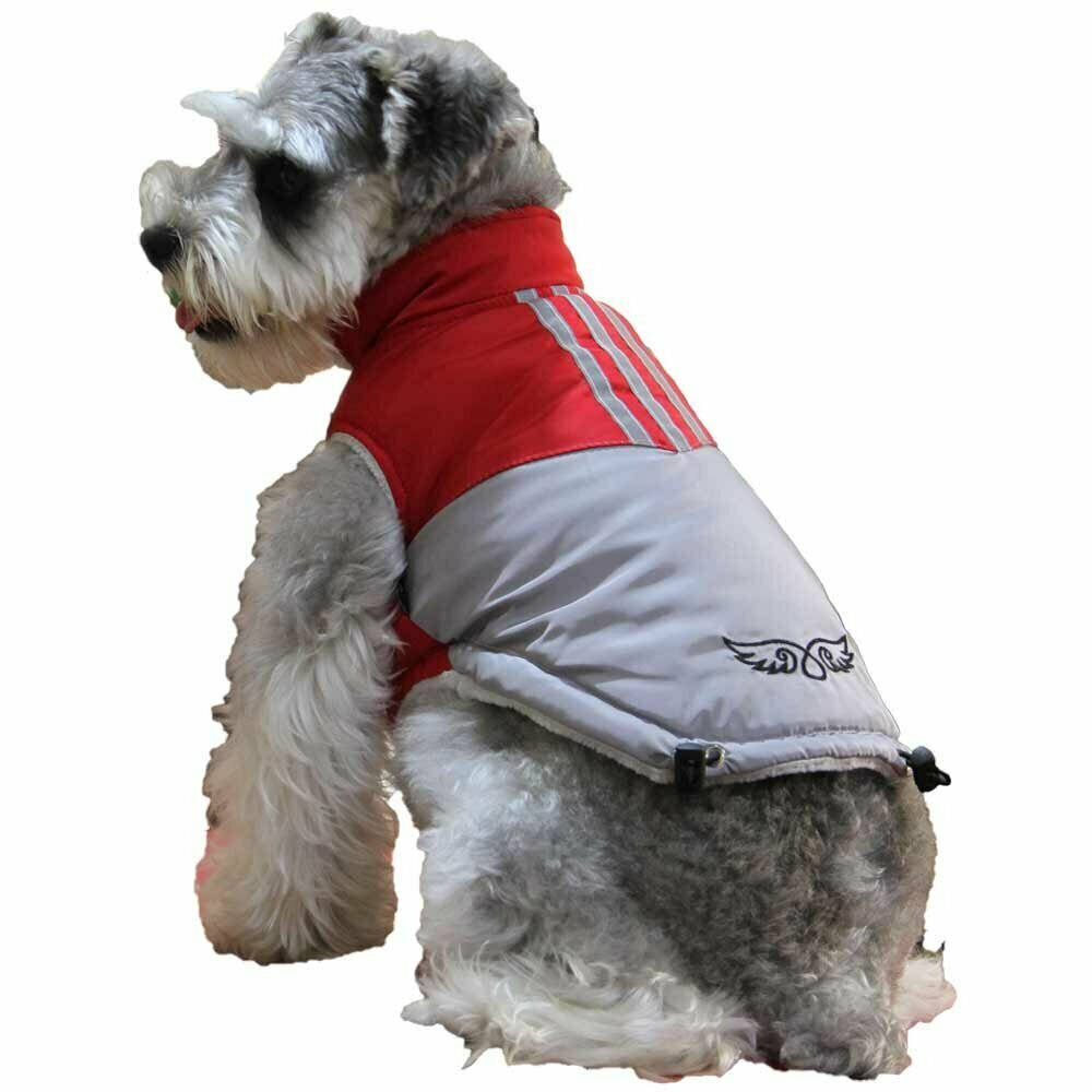 Hochwertige Hundebekleidung für den Winter - Hundeanorak