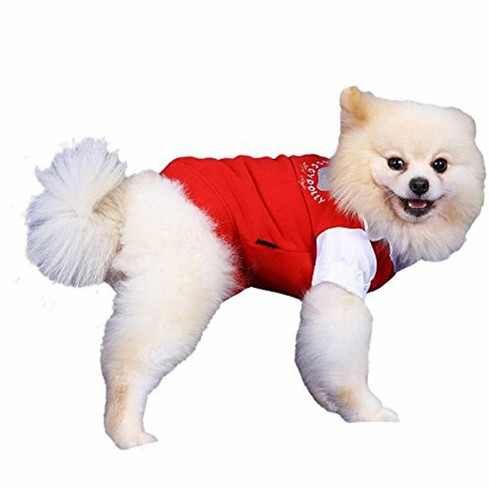 Moderner roter Hundepullover aus warmen Fleece