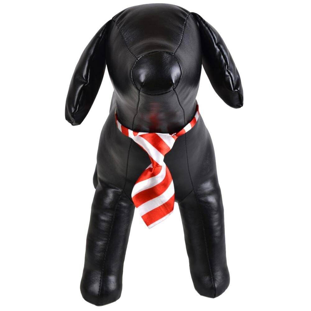 Krawatte für Hunde rot, weiß gestreift
