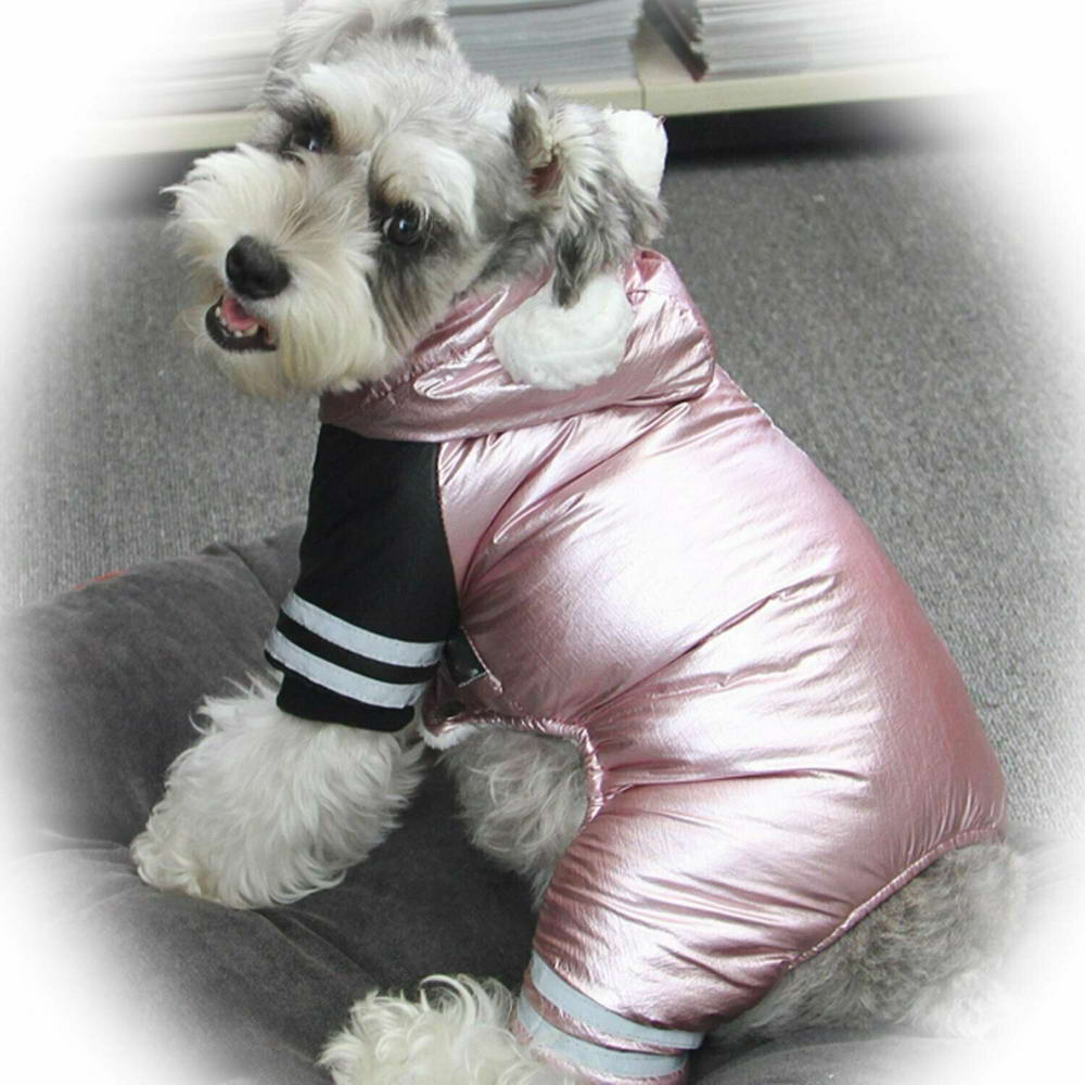 Schneeanzüge für Hunde - warme Hundebekleidung