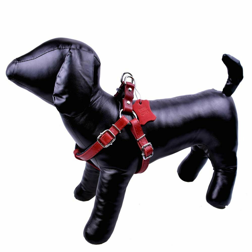 Handgemachtes GogiPet® Komfort Leder Hundebrustgeschirr rot