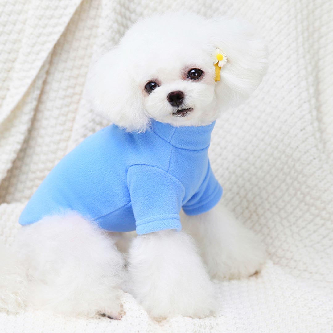 Kuschelig warmer Hundepullover - Blauer Teddysweater