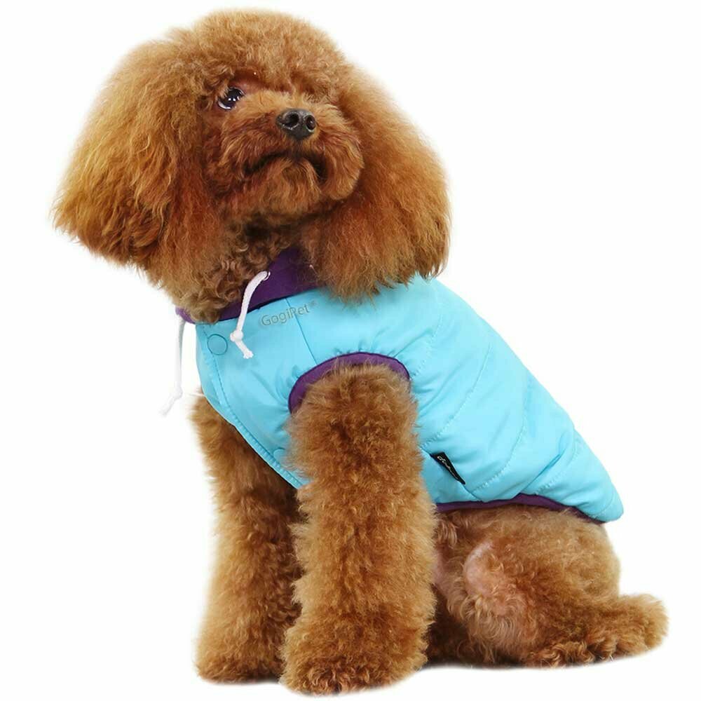 Warme Hundebekleidung für den Winter blau von GogiPet ®