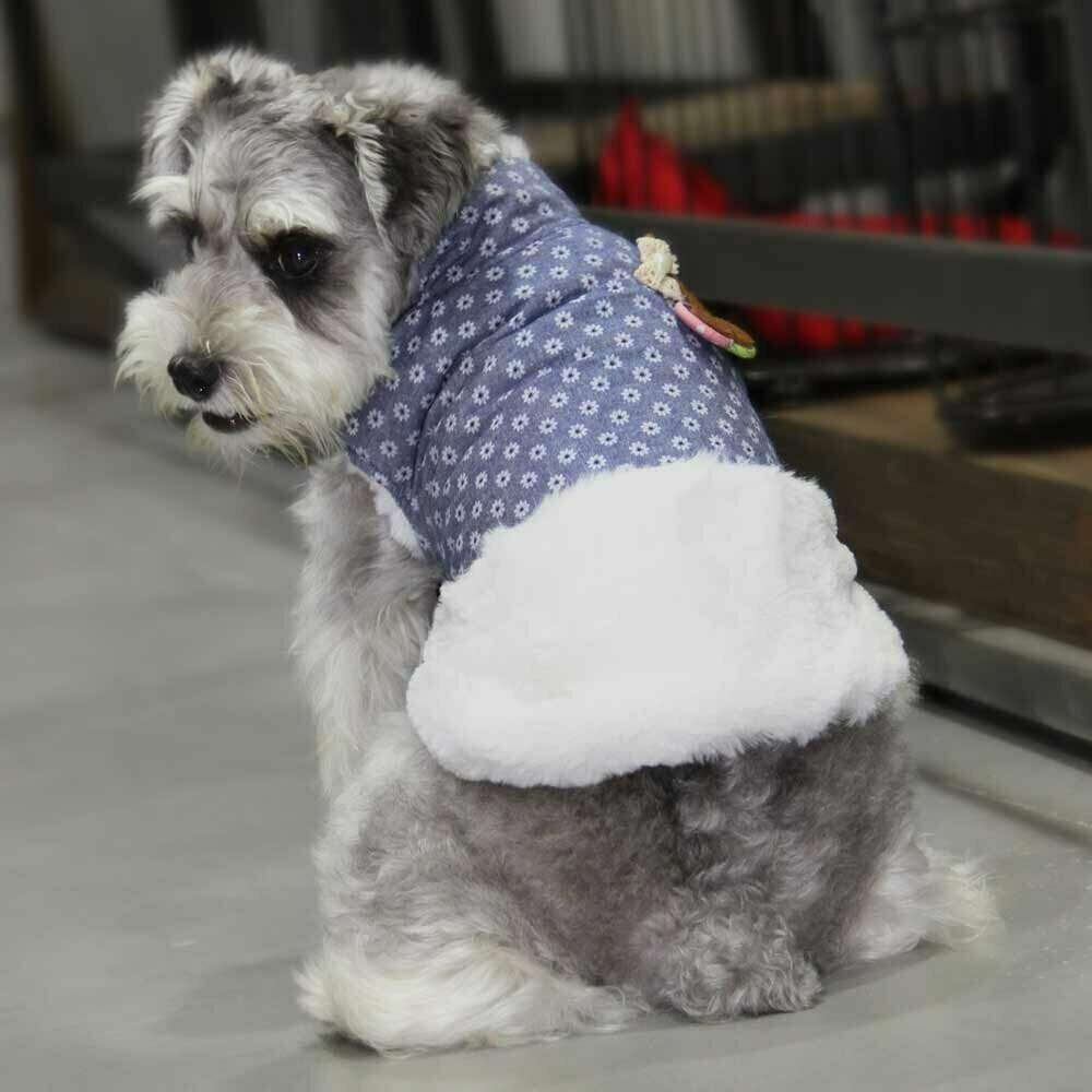 Warme Hundebekleidung von GogiPet günstig kaufen
