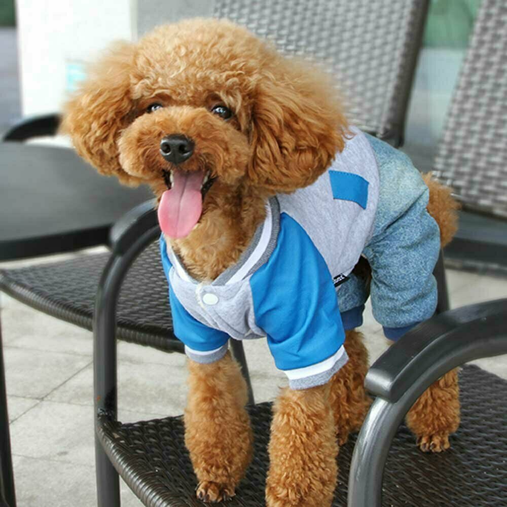 Warme sportliche Hundebekleidung aus hochwertigem Baumwollgemisch