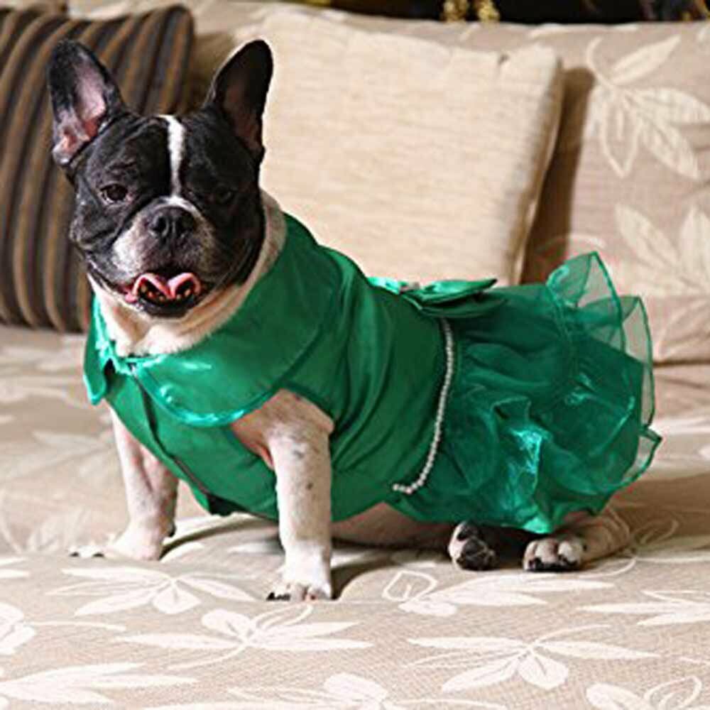 Hunde Luxuskleid DoggyDolly Green Peral für Mops