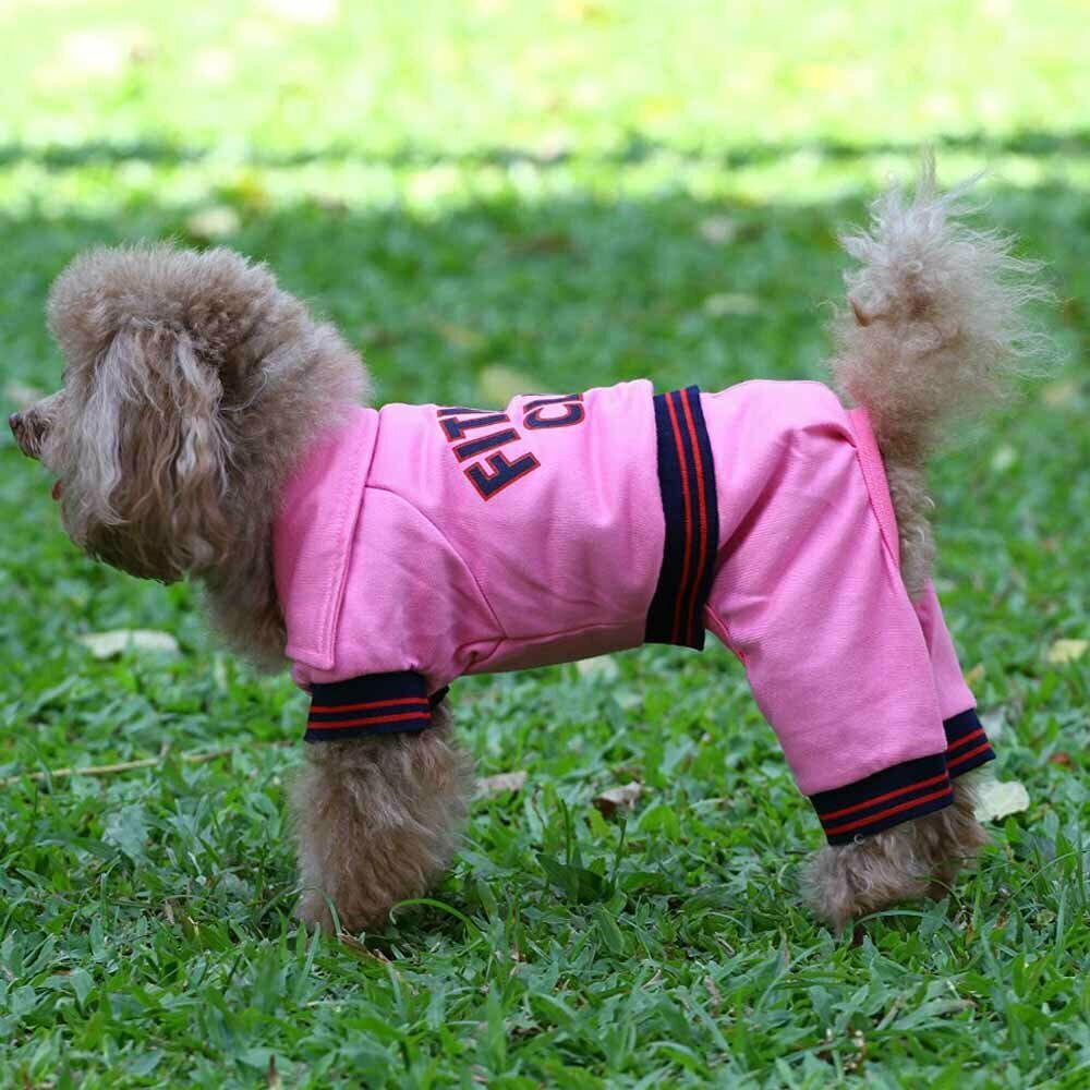Moderner Trainingsanzug für Hunde rosa