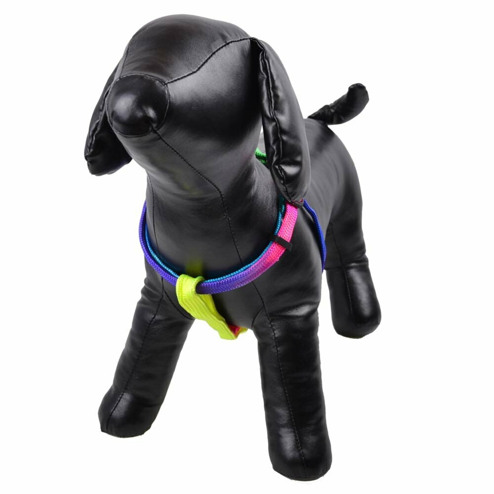 Farbenfrohes Hundebrustgeschirr in Regenbogenfarben