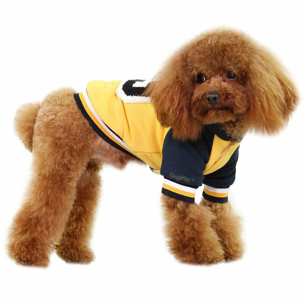Sehr warme Hundebekleidung - gelbe GogiPet Baseball Hundejacke