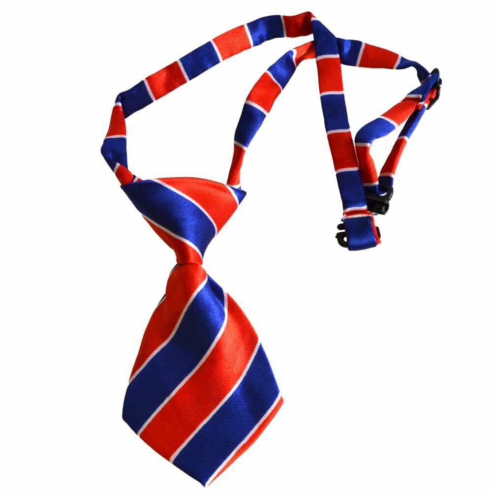 Krawatte für Hunde blau, rot gestreift von GogiPet