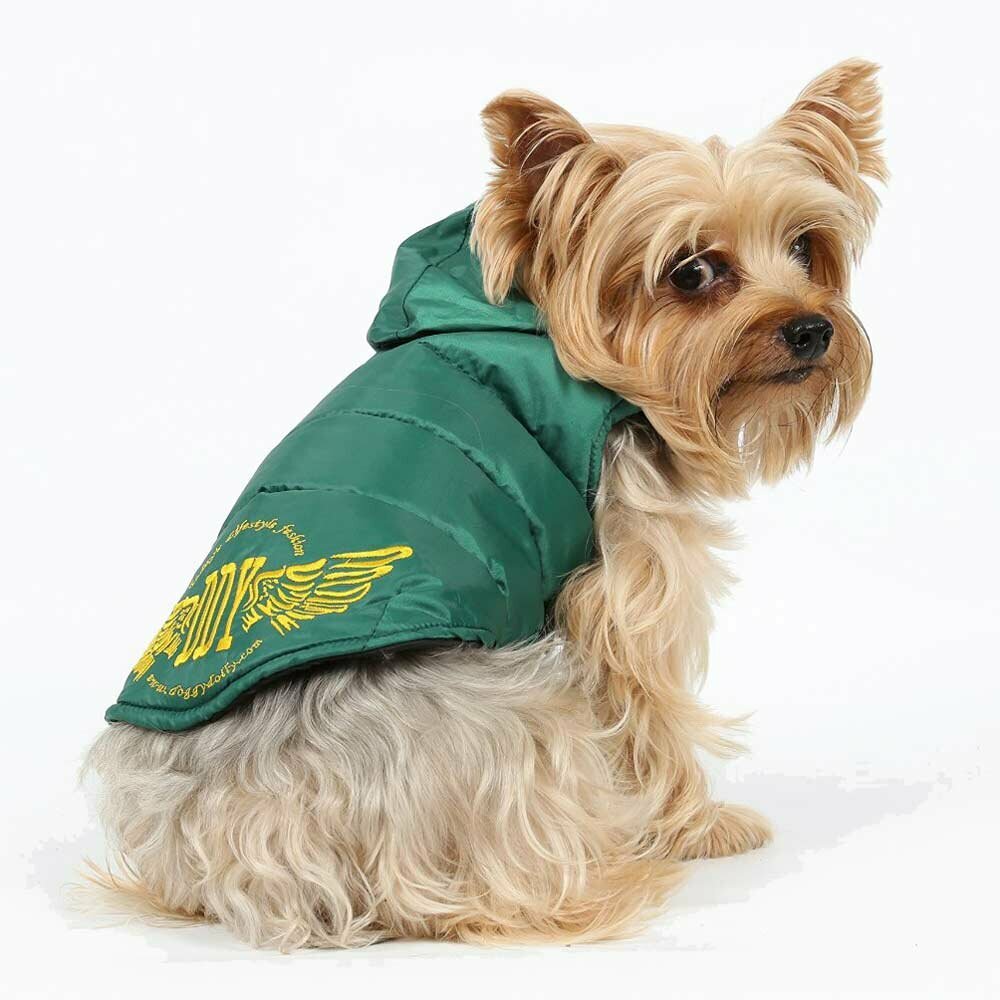 Grüner Hundeanorak für den Winter - warme Hundebekleidung