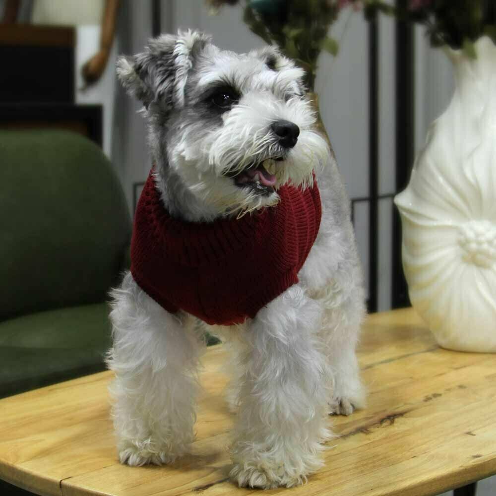 Warmer Hundesweater - Strick Pullover "Rachel" Rot