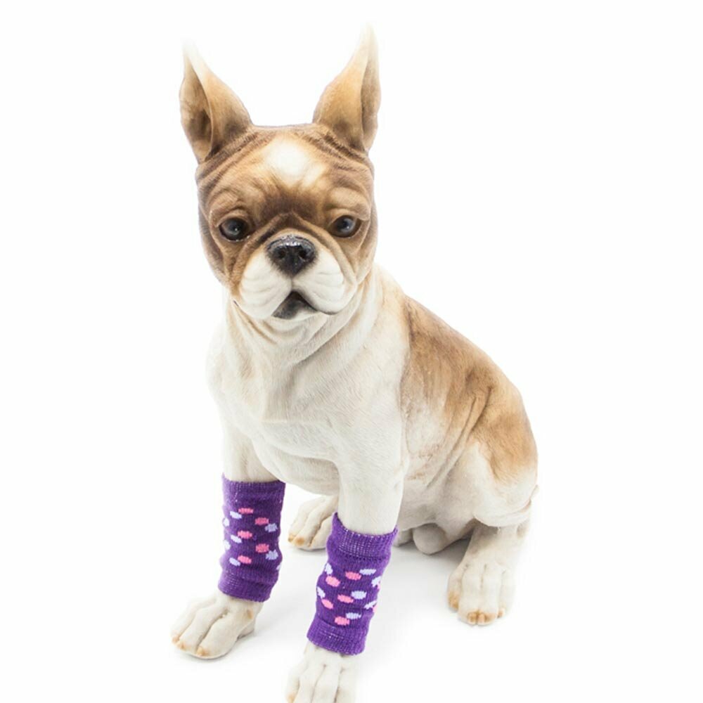 Schöne Beinwärmer für Hunde lila mit Tupfen