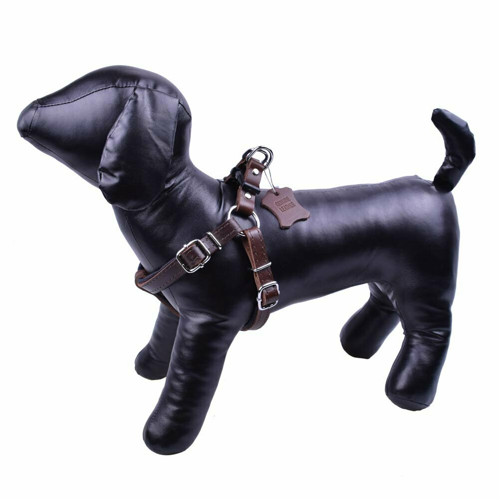 Handgemachtes GogiPet® Komfort Leder Hundebrustgeschirr braun