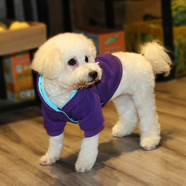 Bequemer Sweater für Hunde lila