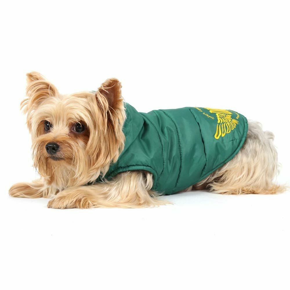 Kuschelige warme Hundebekleidung für den Winter - grüner Hundeanorak