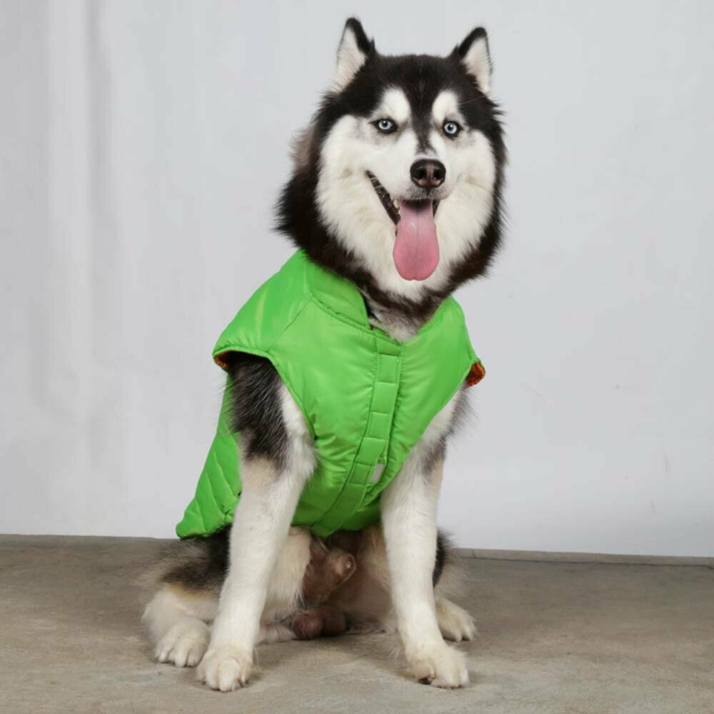 Grüner Anorak für große Hunde von DoggyDolly
