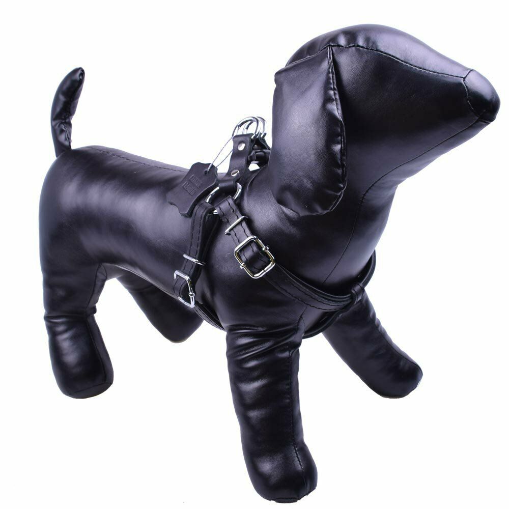 Echtleder Hundebrustgeschirr aus schwarzem First Class Leder