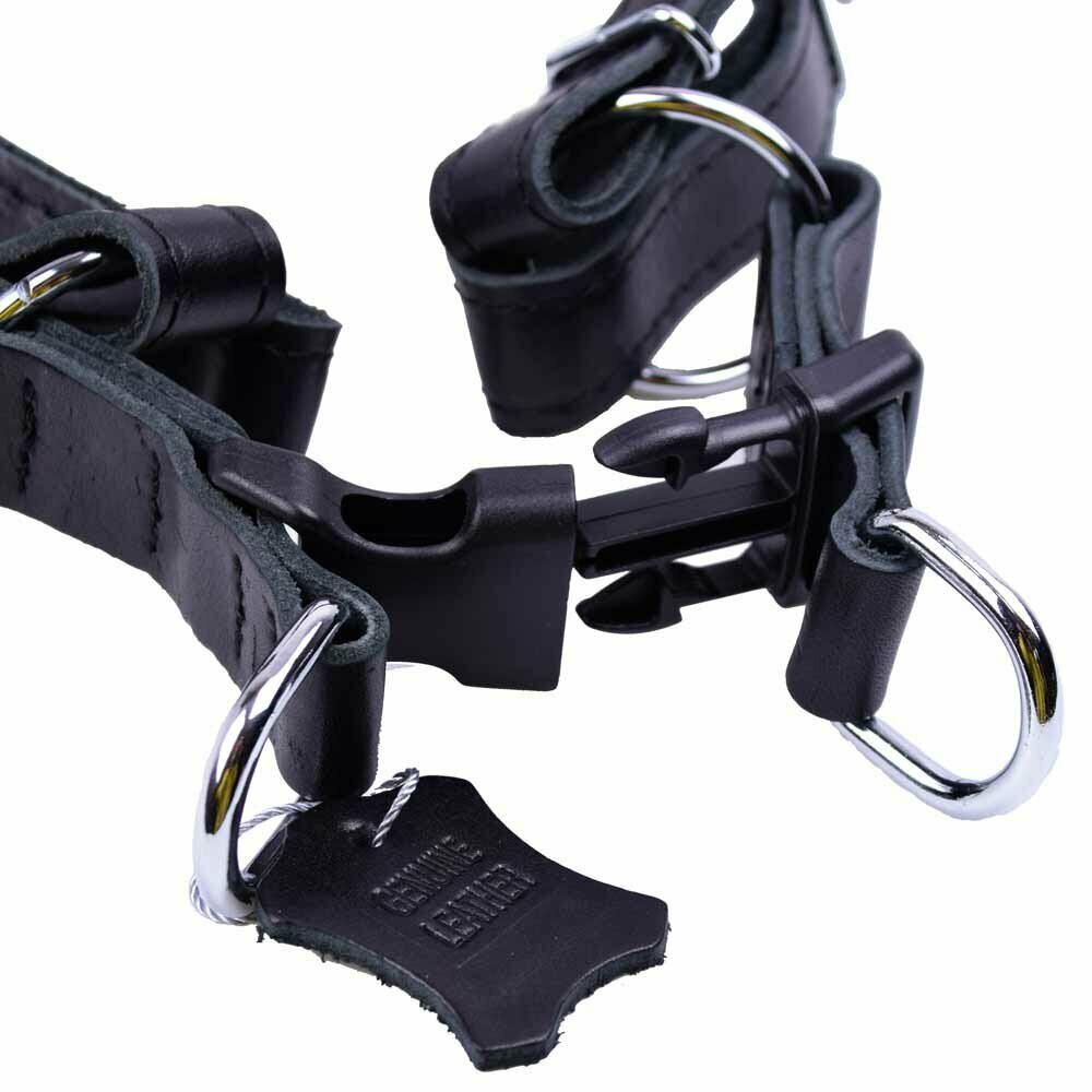Hundebrustgeschirr aus Leder mit Schnellverschluss schwarz