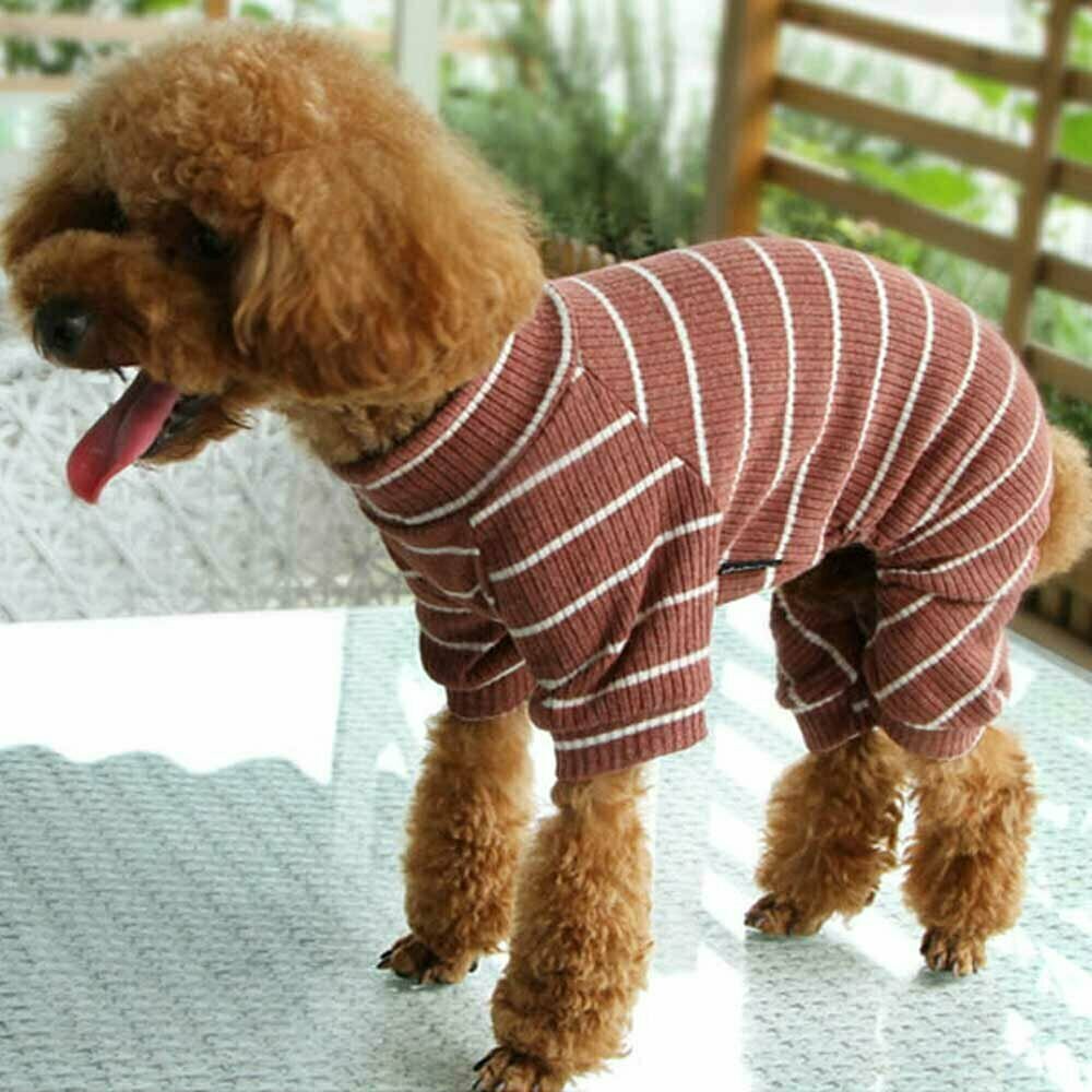 Coole Hundebekleidung von GogiPet