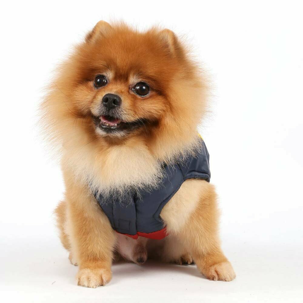Warme Hundebekleidung von DoggyDolly W049