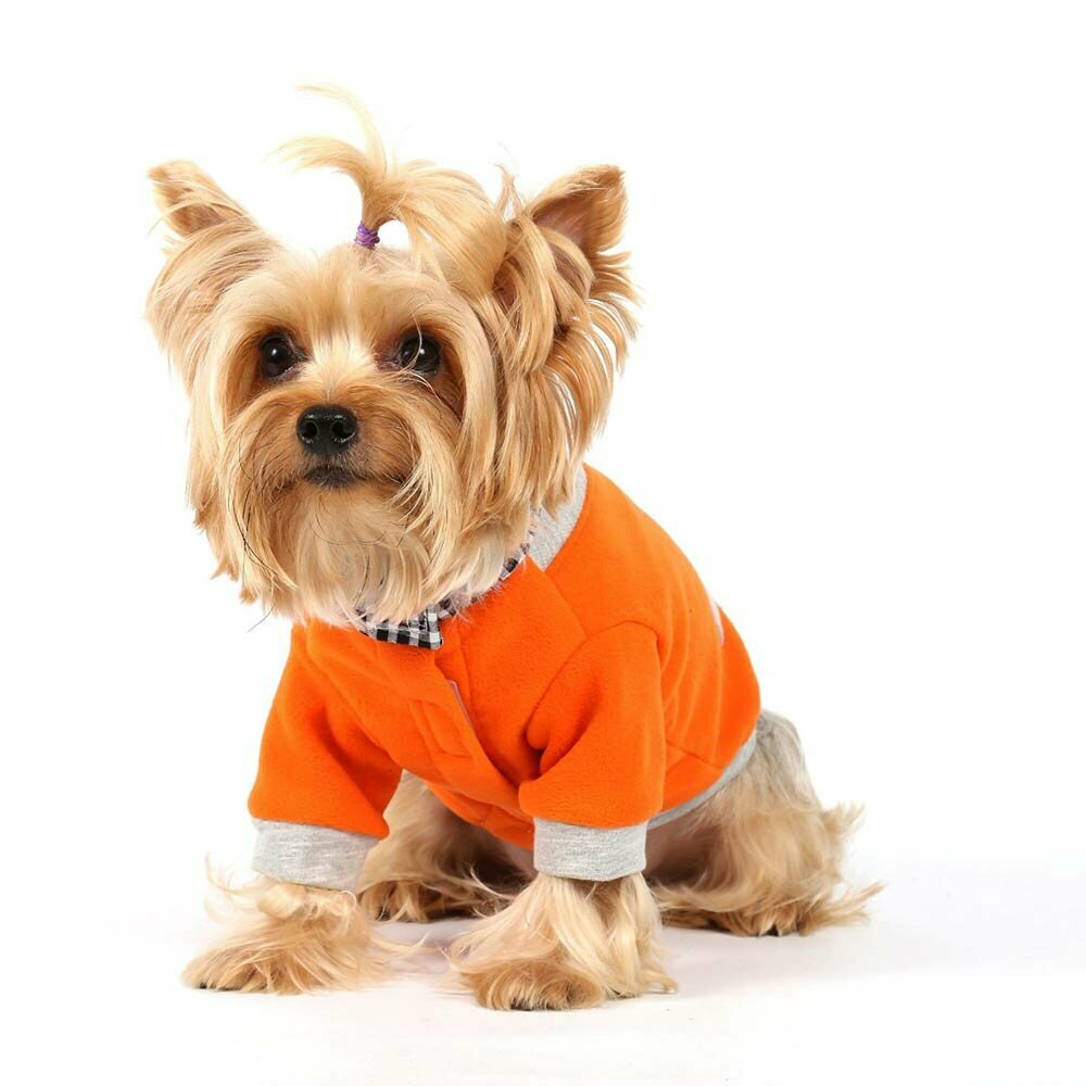 Warmer Hundeanzug orange von DoggyDolly W304